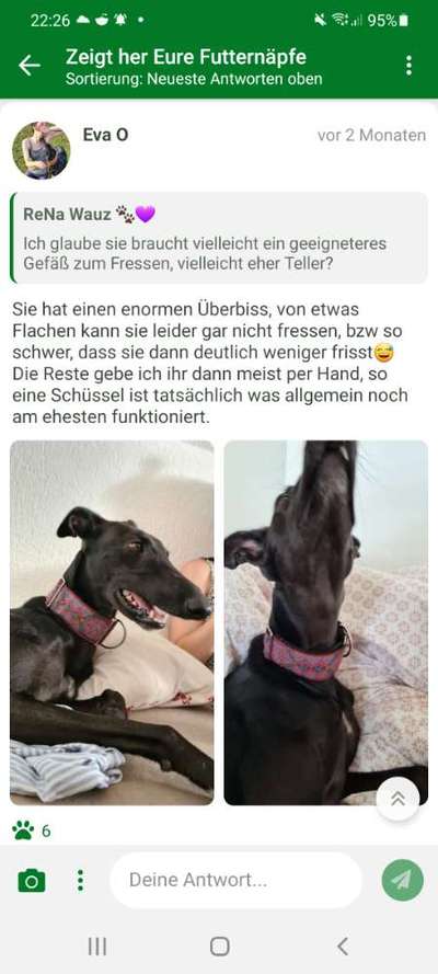 Zeigt her Eure Futternäpfe-Beitrag-Bild