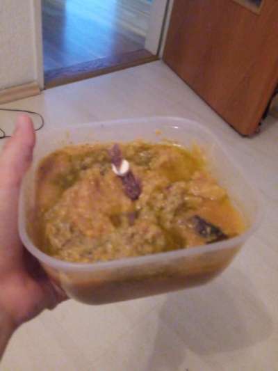 Zeigt her Eure Futternäpfe-Beitrag-Bild