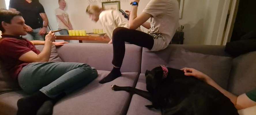 Impulskontrolle Challenge Nr.: 7
         "Gesellschaftsfähig"-Beitrag-Bild