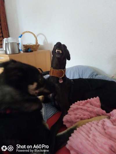 Handy-foto Challange nr. 11-Beitrag-Bild