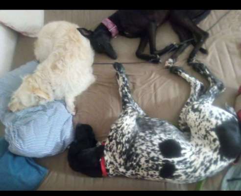 Freundschaftsanfragen-Beitrag-Bild