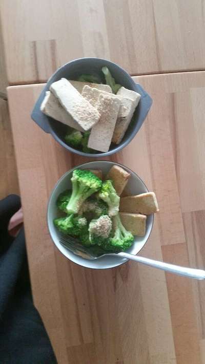 Zeigt her Eure Futternäpfe-Beitrag-Bild