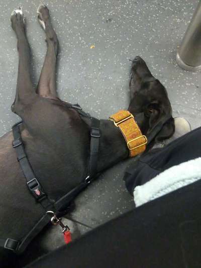 Erzählt eure Erfolgsstorys!-Beitrag-Bild