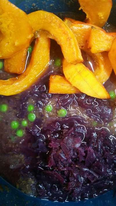 Zeigt her Eure Futternäpfe-Beitrag-Bild