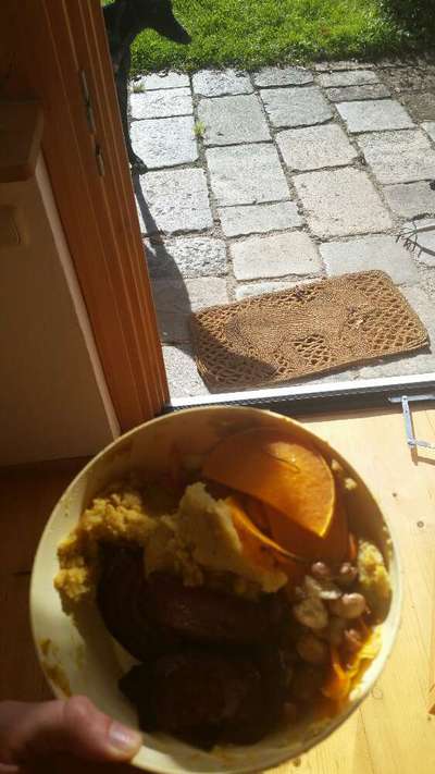 Zeigt her Eure Futternäpfe-Beitrag-Bild