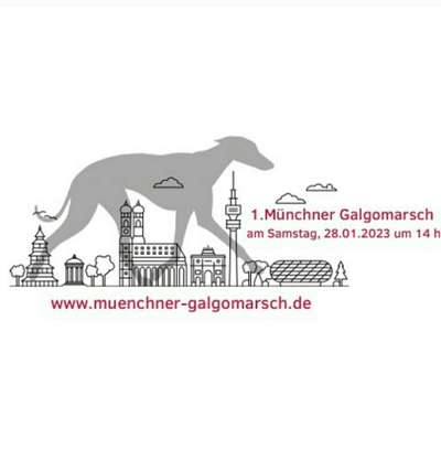 Windhunde - Treffen der besonderen Schönheiten
HERZLICH WILLKOMMEN-Beitrag-Bild