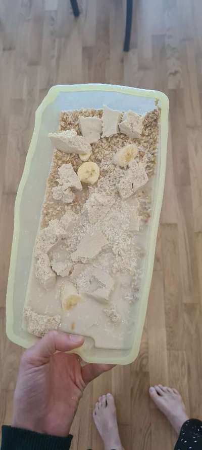 Zeigt her Eure Futternäpfe-Beitrag-Bild