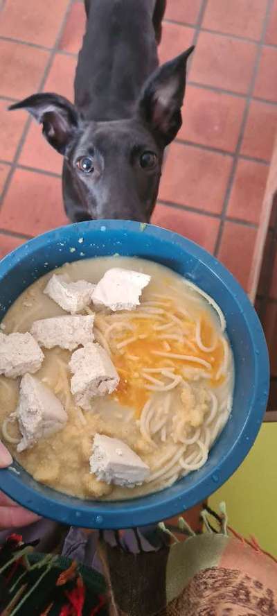 Zeigt her Eure Futternäpfe-Beitrag-Bild