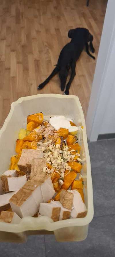 Zeigt her Eure Futternäpfe-Beitrag-Bild