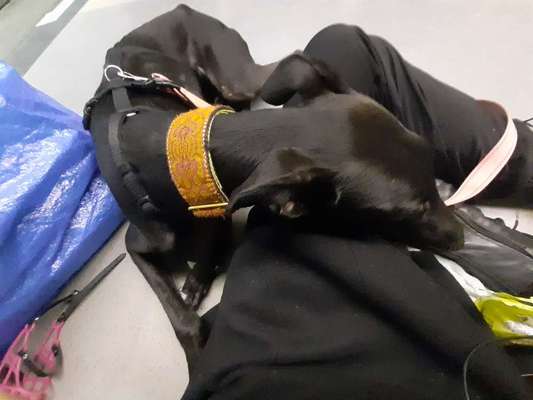 Die unbequemsten und lustigsten Schlafpositionen-Beitrag-Bild