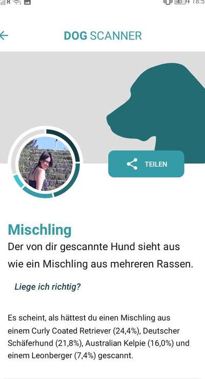 Dog Scanner - welche Rasse hat dein Mensch?-Beitrag-Bild