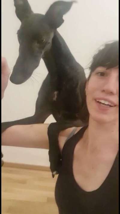 Trick Challenge Nr. 20   "Selfietrick"-Beitrag-Bild