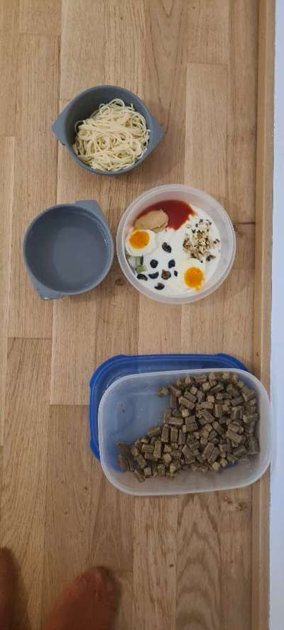 Zeigt her Eure Futternäpfe-Beitrag-Bild