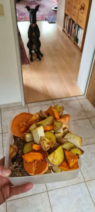 Zeigt her Eure Futternäpfe-Beitrag-Bild