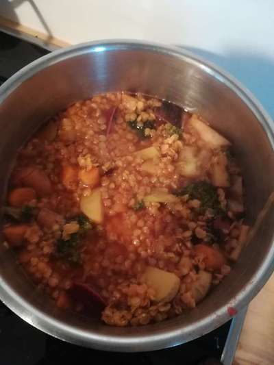 Zeigt her Eure Futternäpfe-Beitrag-Bild