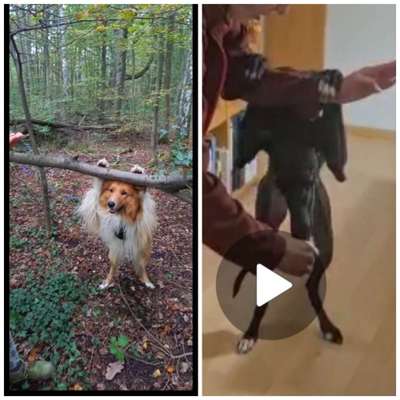 Trick Challenge Nr. 18-Beitrag-Bild