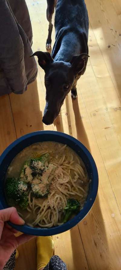 Zeigt her Eure Futternäpfe-Beitrag-Bild