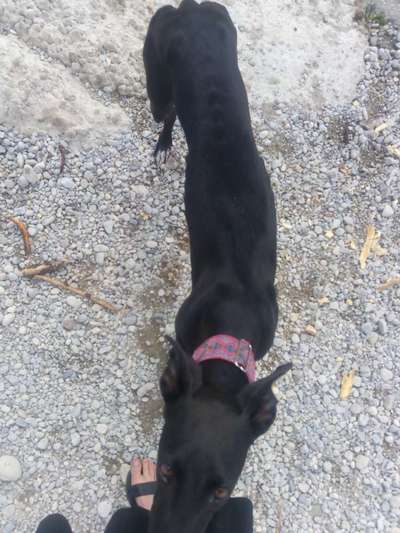 Der Gewichts-Thread-Beitrag-Bild