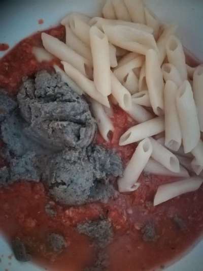 Zeigt her Eure Futternäpfe-Beitrag-Bild