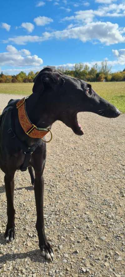 Blick fürs Detail!-Beitrag-Bild