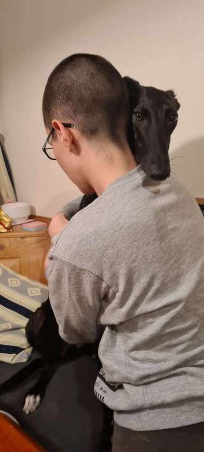 Windhunde - Treffen der besonderen Schönheiten
HERZLICH WILLKOMMEN-Beitrag-Bild