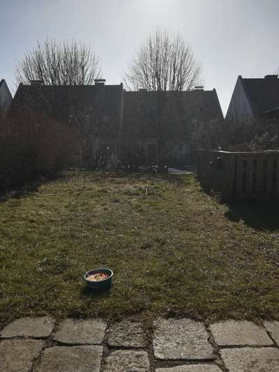 Zeigt her Eure Futternäpfe-Beitrag-Bild