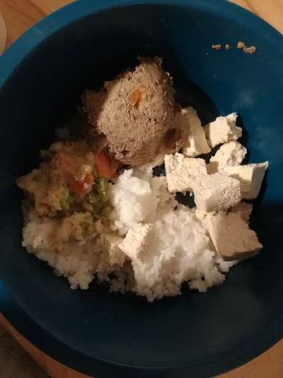 Zeigt her Eure Futternäpfe-Beitrag-Bild