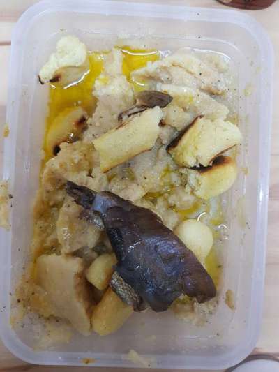 Zeigt her Eure Futternäpfe-Beitrag-Bild