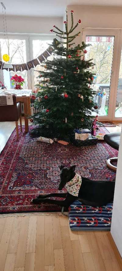 Zeigt her Eure Futternäpfe-Beitrag-Bild