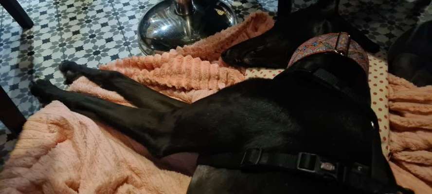 Impulskontrolle Challenge Nr.: 7
         "Gesellschaftsfähig"-Beitrag-Bild