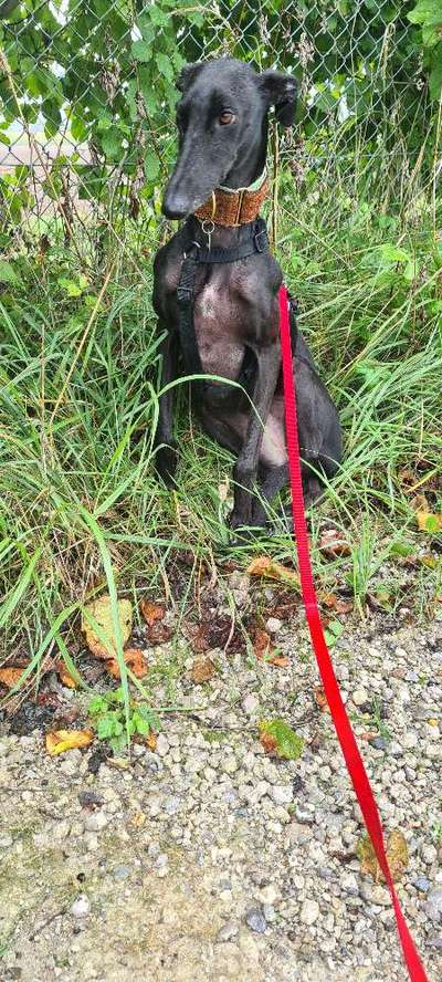 1. Fotochallenge Collagen - 4 Jahreszeiten-Beitrag-Bild