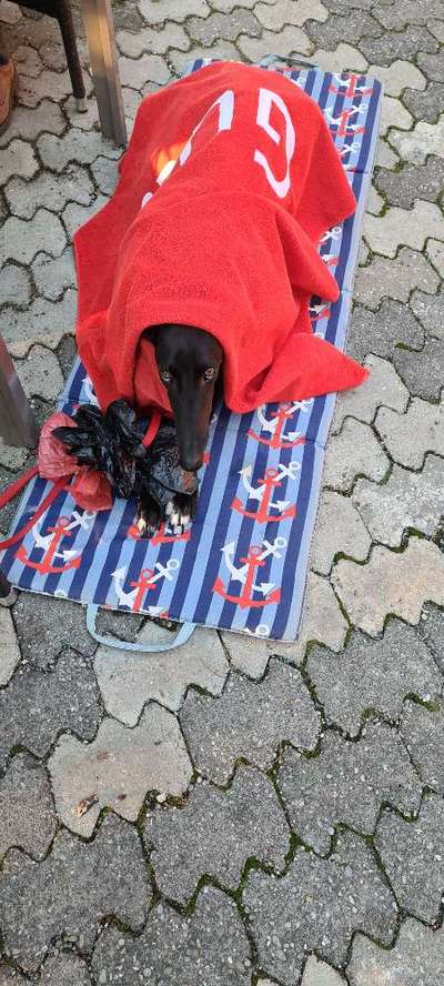 Impulskontrolle Challenge Nr.: 7
         "Gesellschaftsfähig"-Beitrag-Bild