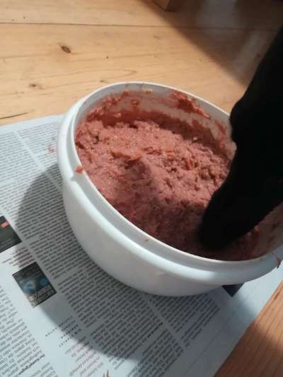 Zeigt her Eure Futternäpfe-Beitrag-Bild