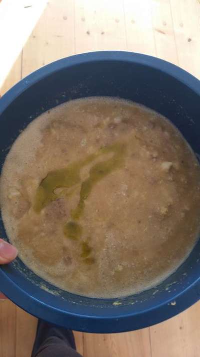 Zeigt her Eure Futternäpfe-Beitrag-Bild