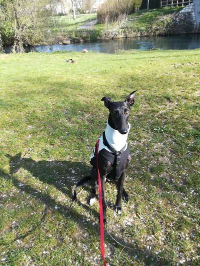 Freundschaftsanfragen-Beitrag-Bild