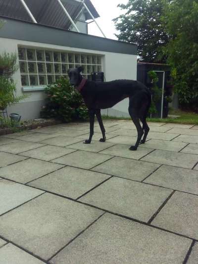 Ist das ein...?-Beitrag-Bild