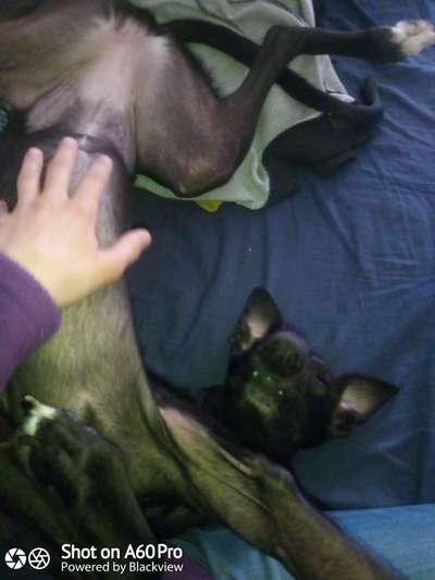 Fotochallenge Nr. 67: Euer Lieblingsbild-Beitrag-Bild