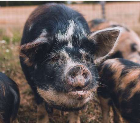 Freundschaftsanfragen-Beitrag-Bild