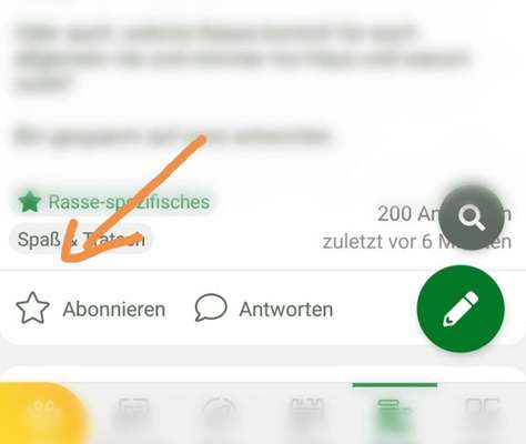 Ist mein Hundefutter gut?-Beitrag-Bild
