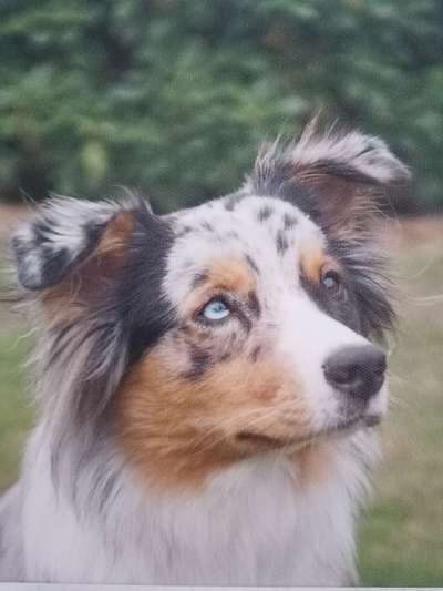 Fotochallange Nr. 57     PORTRÄT.   Beendet!!!!!!!!-Beitrag-Bild