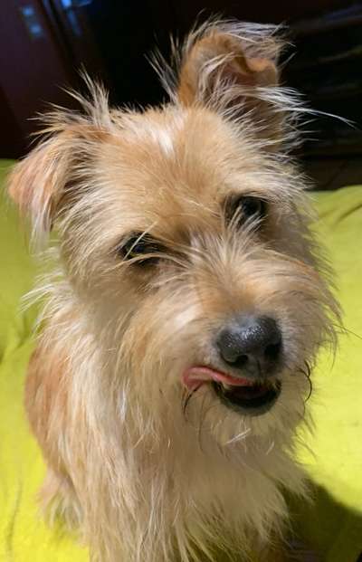 Fotochallange Nr. 57     PORTRÄT.   Beendet!!!!!!!!-Beitrag-Bild