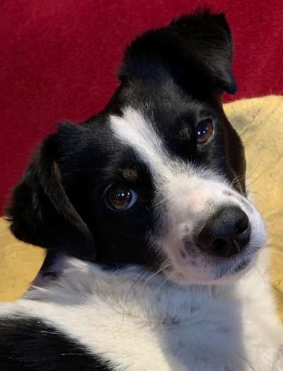 Fotochallange Nr. 57     PORTRÄT.   Beendet!!!!!!!!-Beitrag-Bild