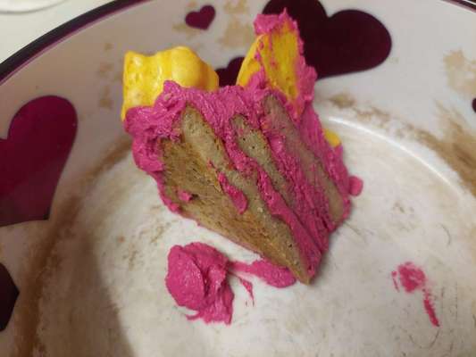 Rezepte für Hunde-Geburtstagstorte-Beitrag-Bild