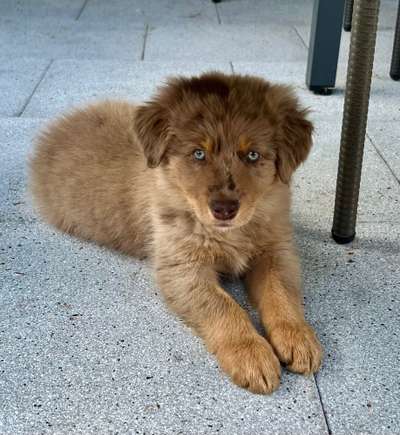 28. Handy-Fotochallenge - Damals und heute-Beitrag-Bild