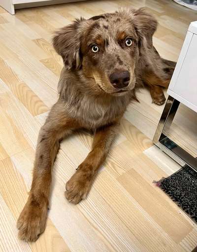 28. Handy-Fotochallenge - Damals und heute-Beitrag-Bild