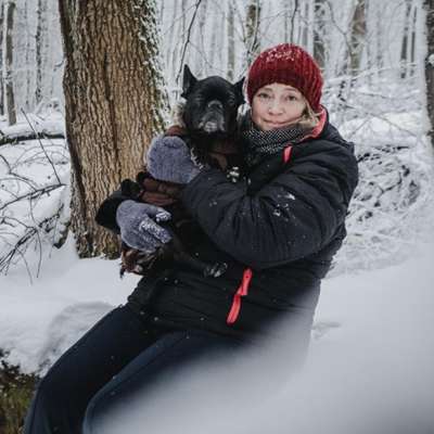 Hundetreffen-Suche ein Border Collie Treffen