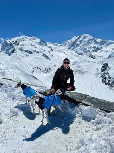 Windhunde - Treffen der besonderen Schönheiten
HERZLICH WILLKOMMEN-Beitrag-Bild