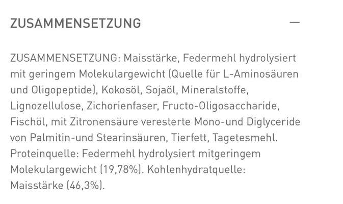 Whippet-Beitrag-Bild