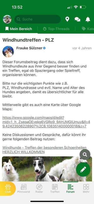 Whippet-Beitrag-Bild