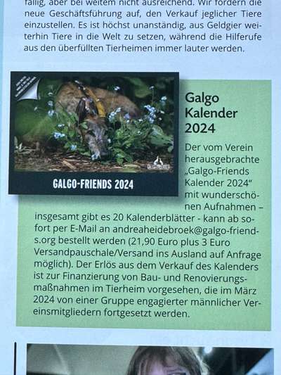 Windhunde - Treffen der besonderen Schönheiten
HERZLICH WILLKOMMEN-Beitrag-Bild